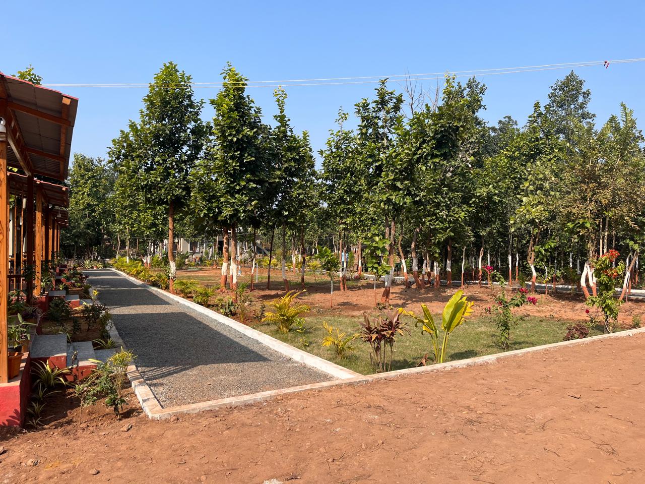 Luxury resort pool with palm trees at sunset